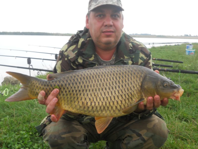 capturi - copy-of-crap-52-kg.bmp